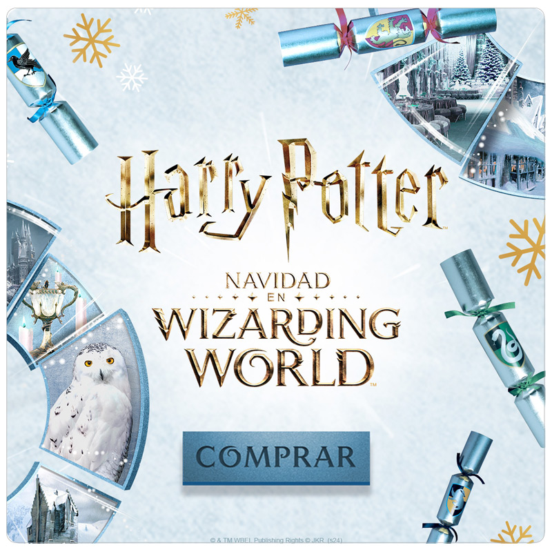 Distribuidor Mayorista Harry Potter