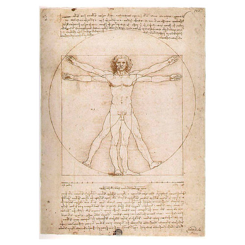 Leonardo da Vinci Vitruvian Man puzzle 1000pcs