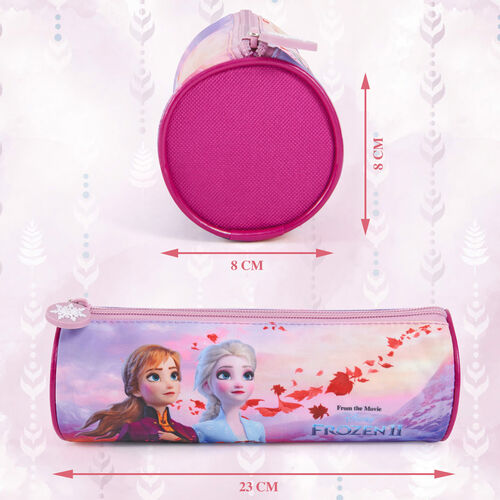 Disney Frozen pencil case