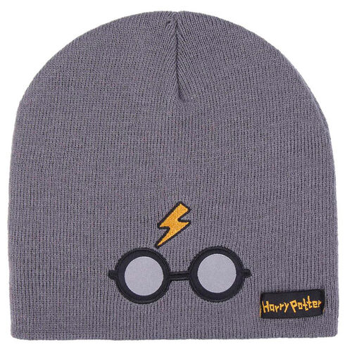 Harry Potter hat