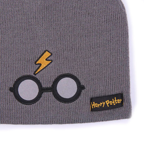 Harry Potter hat