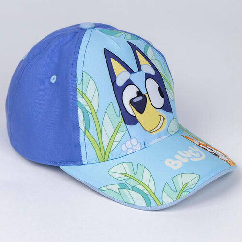 Bluey assorted cap