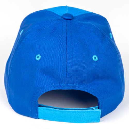 Sonic the Hedgehog assorted cap