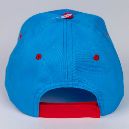 Sonic the Hedgehog assorted cap