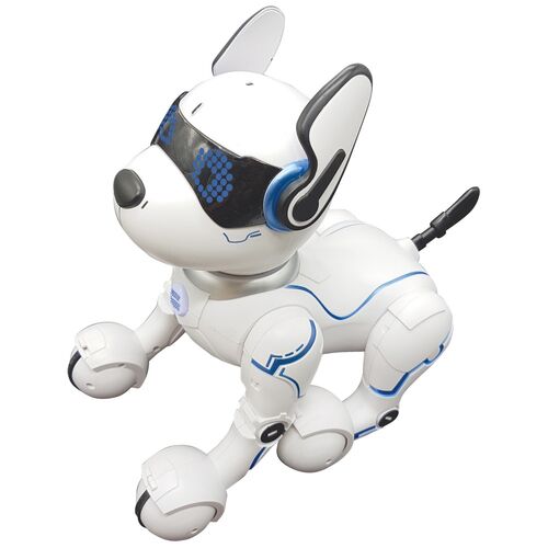 Robot perro programable