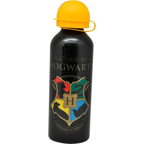 Harry Potter assorted aliminum bottle 500ml