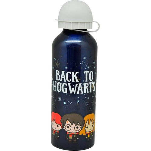 Harry Potter assorted aliminum bottle 500ml