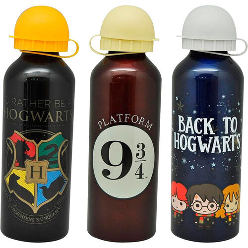 Harry Potter assorted aliminum bottle 500ml