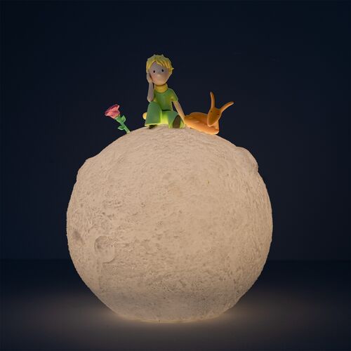 The Little Prince 3D lamp