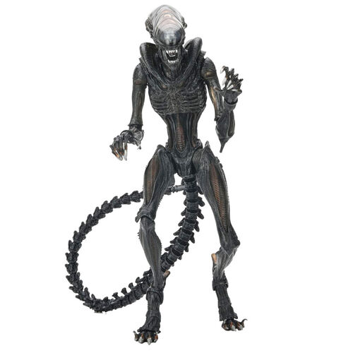 Figura Ultimate Scorched Xnomorph Alien Romulus 23cm