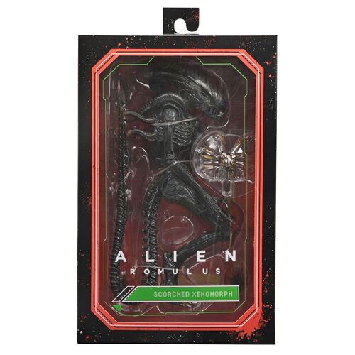 Alien Romulus Scorched Xnomorph Ultimate figure 23cm