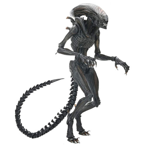 Figura Ultimate Scorched Xnomorph Alien Romulus 23cm