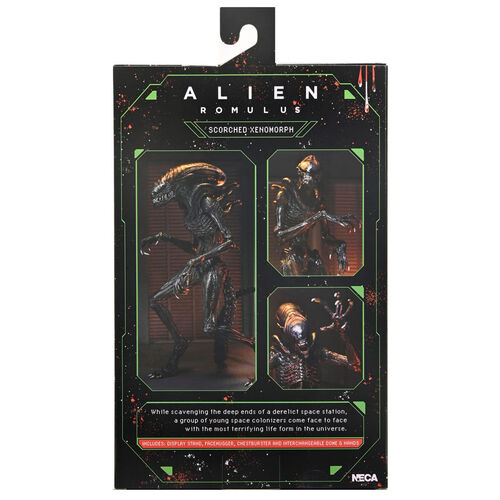 Alien Romulus Scorched Xnomorph Ultimate figure 23cm