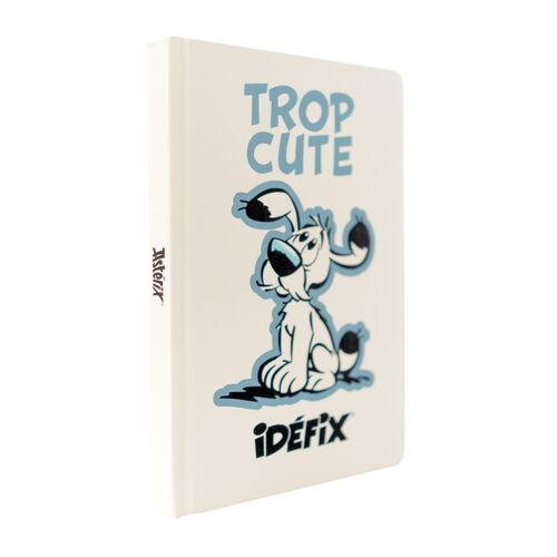 Cuaderno A5 premium Ideafix - Asterix y Obelix