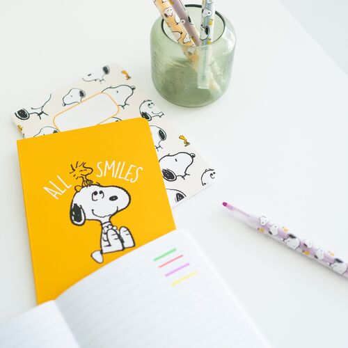 Peanuts Snoopy stationery kit