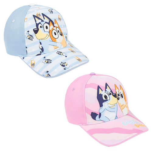 Bluey assorted cap