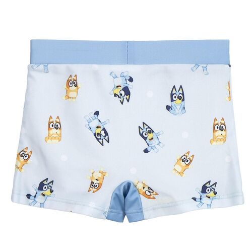 Bluey boxer swimwear