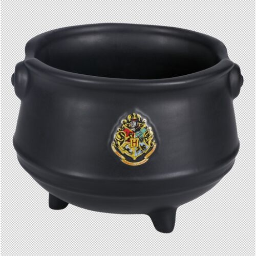 Harry Potter Magic Cauldron Chopsticks and Ramen Bowl set