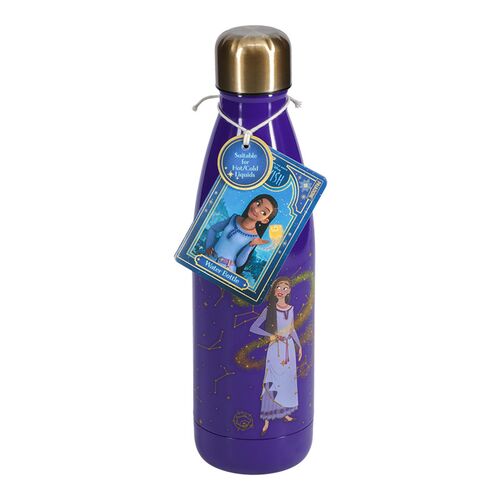 Disney Wish Asha stainless steel bottle 460ml