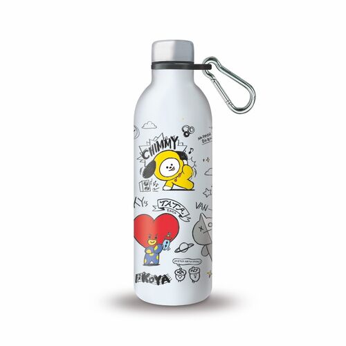 BT21 Stainless steel bottle 500ml