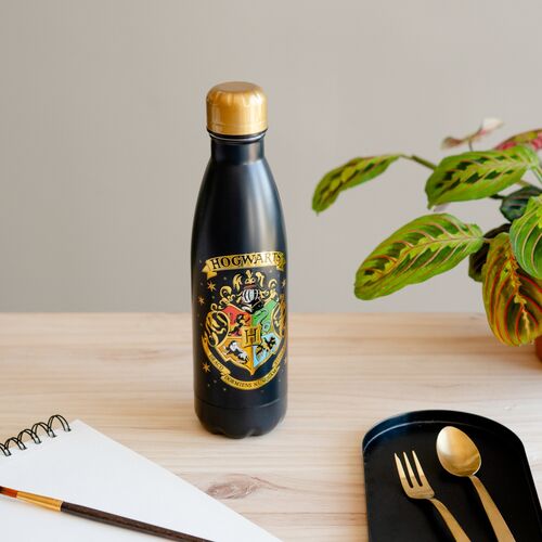 Harry Potter Hogwarts Stainless steel bottle 500ml