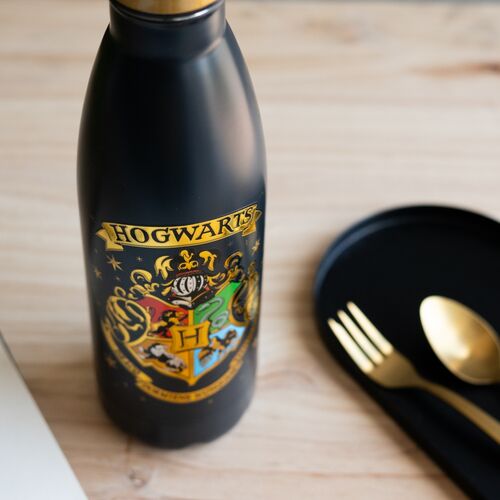 Harry Potter Hogwarts Stainless steel bottle 500ml