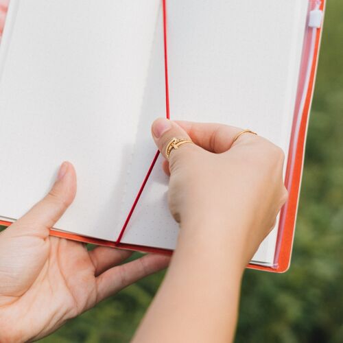 Frida Kahlo travel notebook