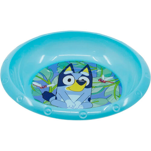 Bluey bowl