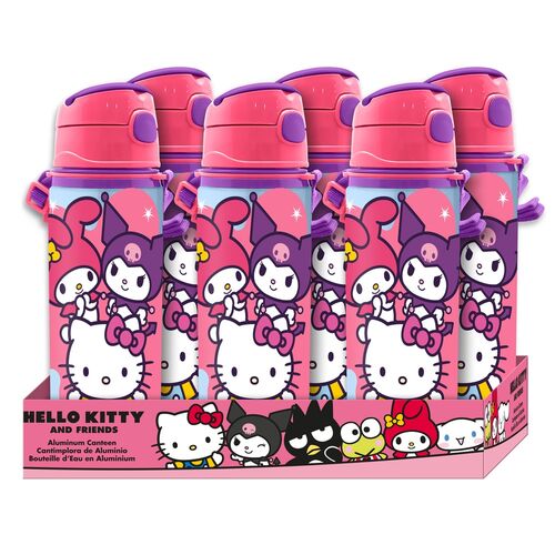 Hello Kitty and Friends aluminium bottle 600ml