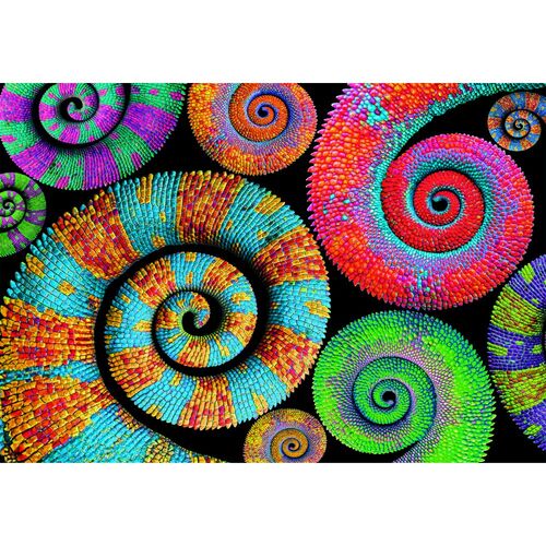 Color Boom Curly Tails puzzle 500pcs