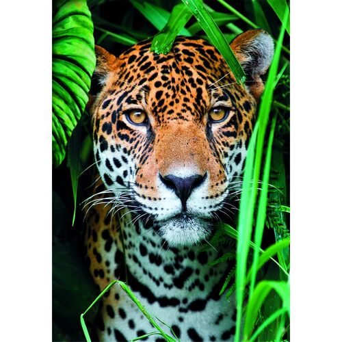 High Quality Jaguar in the Jungle puzzle 500pcs