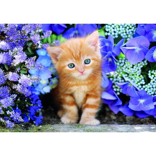 High Quality Ginger Cat puzzle 500pcs