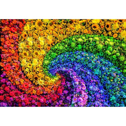 Color Boom Whirl puzzle 1000pcs