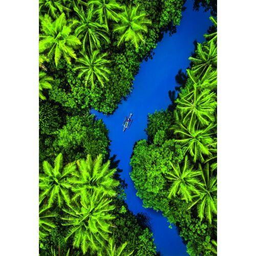 Puzzle Tropical Aerial View High Quality 500pzs