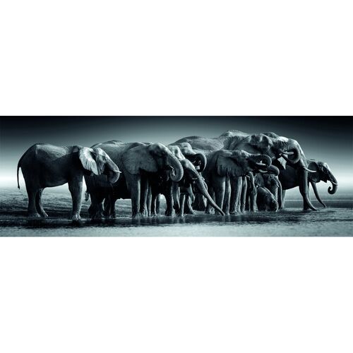 High Quality Herd of Giants Panorama puzzle 1000pcs