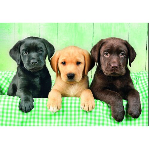 High Quality Three Labs puzzle 1000pcs