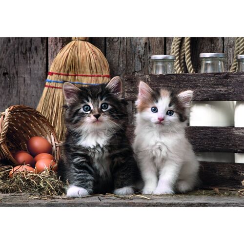 High Quality Lovely Kittens puzzle 1000pcs