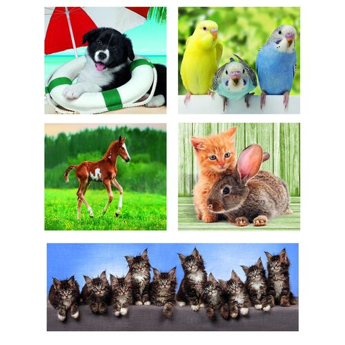 Animal Friends puzzle 18+30+48+60pzs