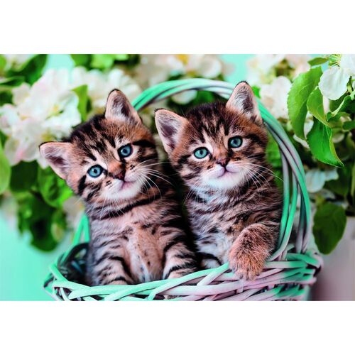 Lovely Kitty Twins puzzle 60pcs