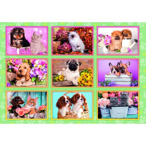 Puppies Collage super puzzle 180pcs