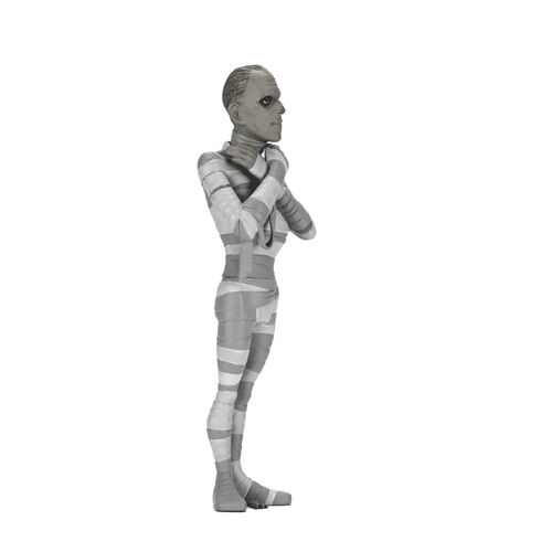 Universal Monsters The Mummy Black & White The Mummy  Toony Terrors figure 15cm